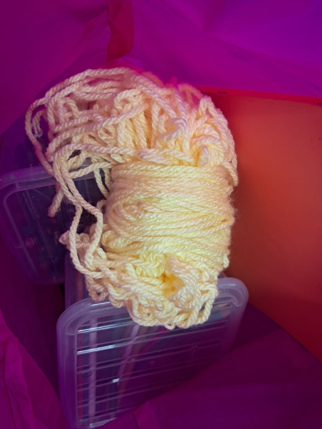 Sara Degl'innocenti-9