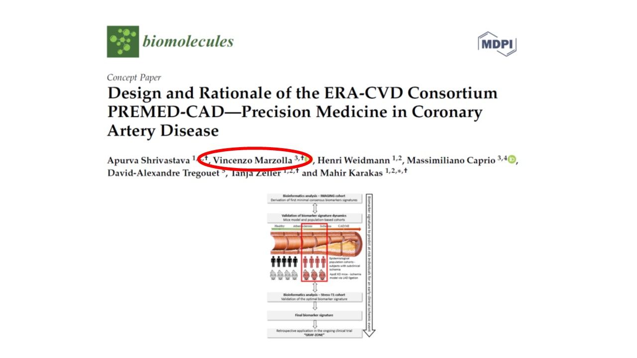 Vincenzo Marzolla-20