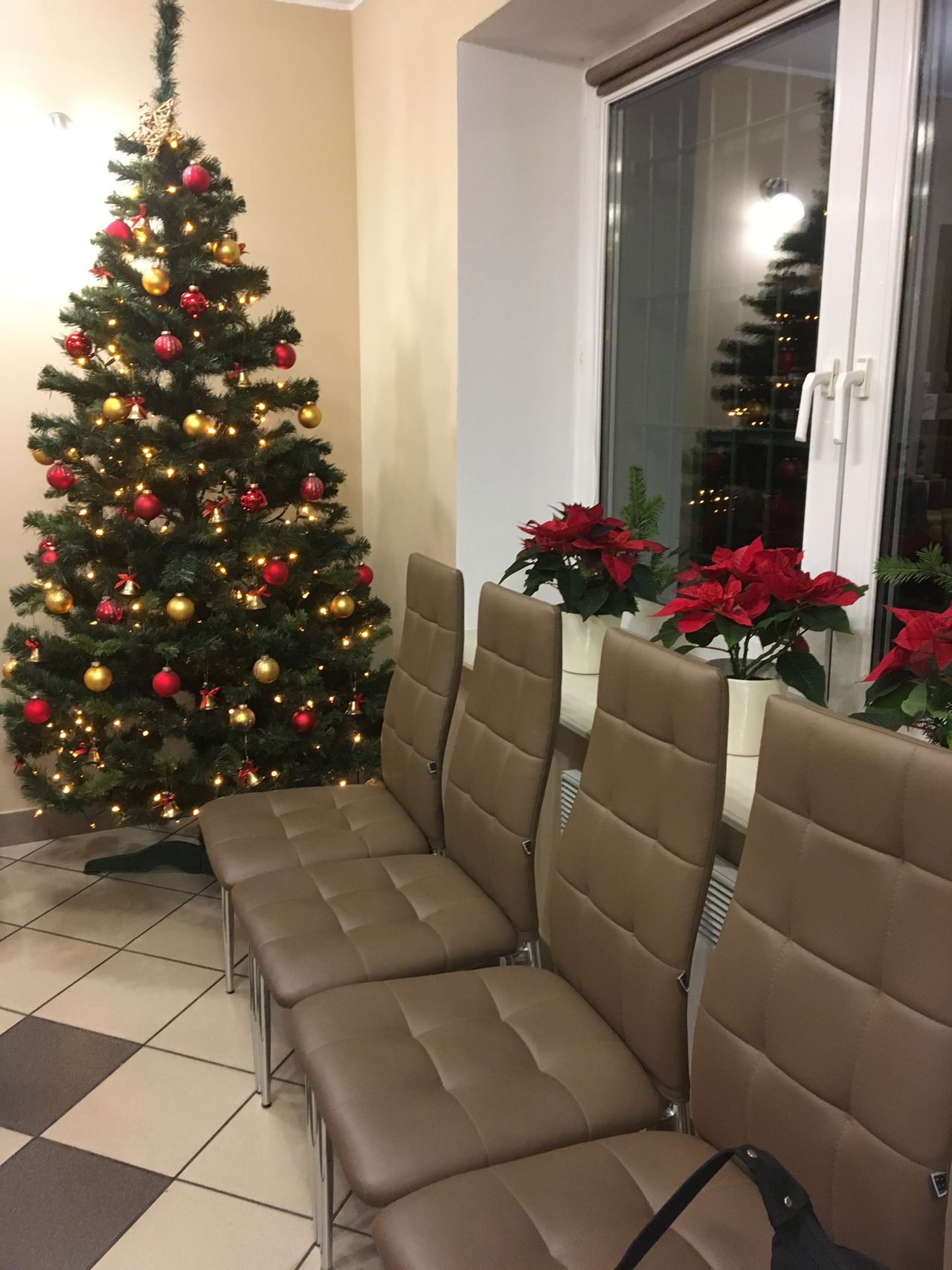 Ewa Alicja Ogłodek-5