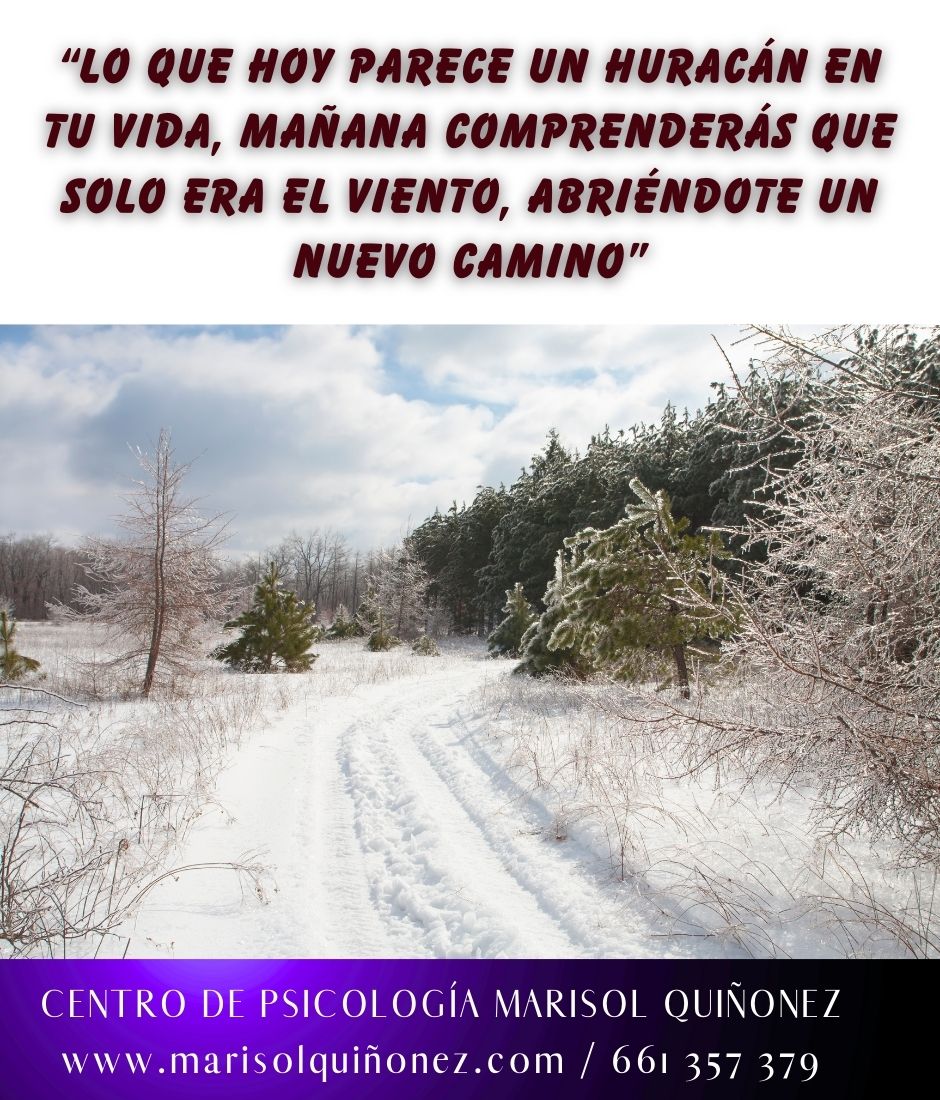 Marisol Quiñonez Quintero-95