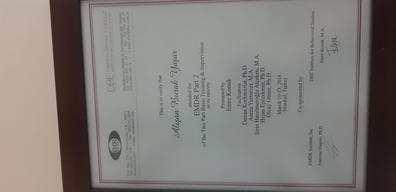 Alişan Burak Yaşar-2