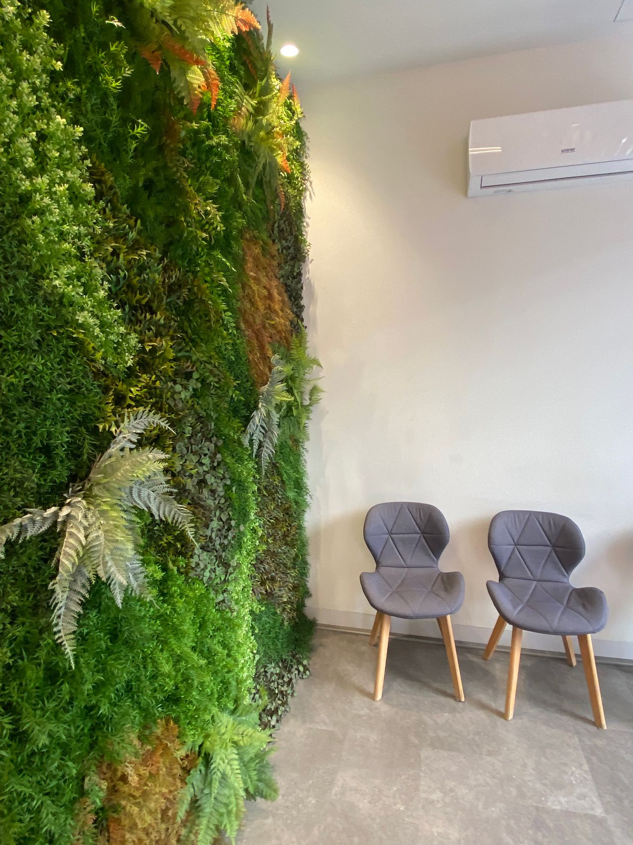 Manuel Miralles Miciukiewicz-1