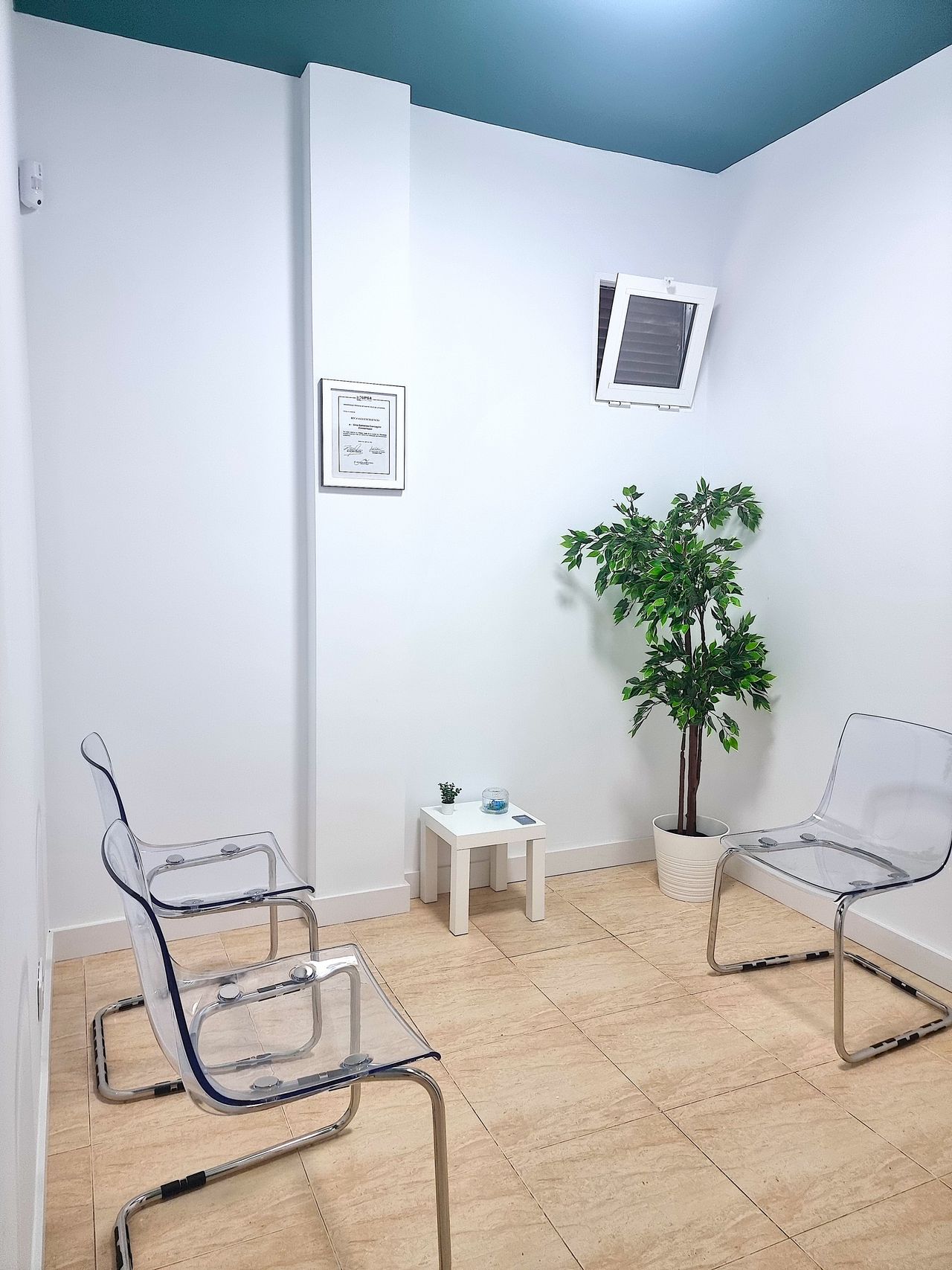 Gina Ciancaglini Zimmermann-6