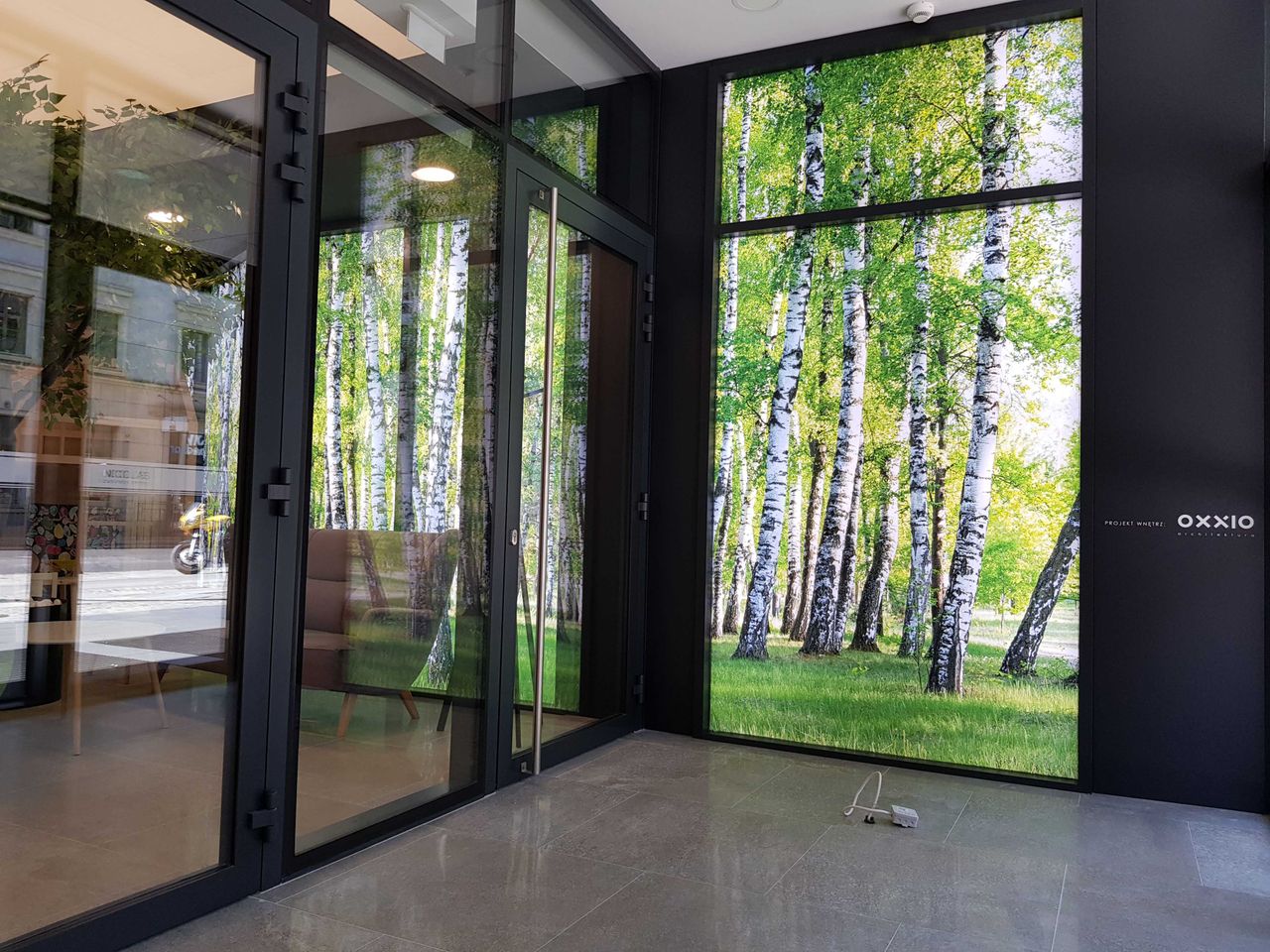 Ewa Sokoła-Wysoczańska-11