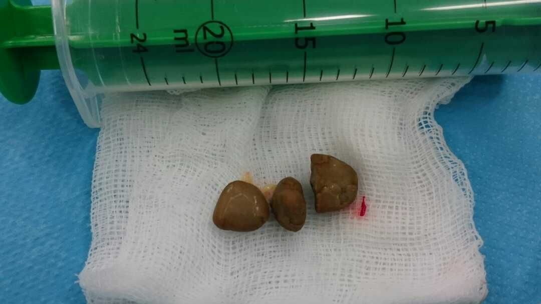 Maciej Mariusz Krata-7