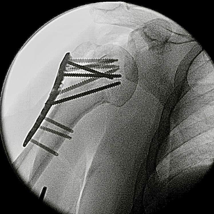 Daniele Passaretti-17