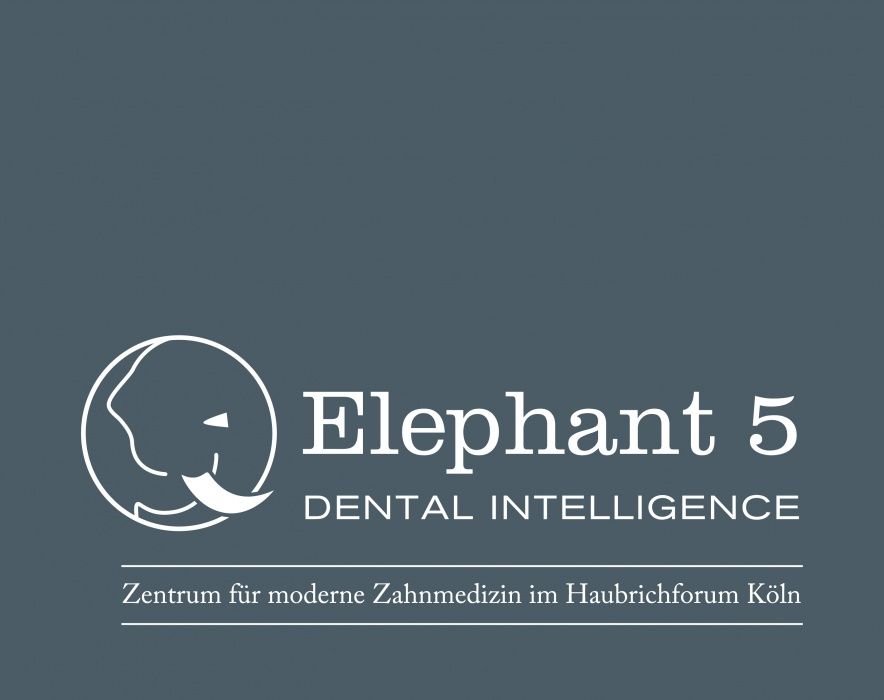 Thomas Zartmann, Msc-3