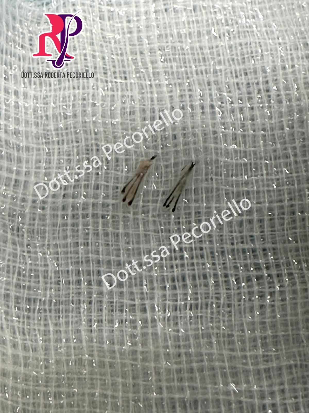 Roberta Pecoriello-1