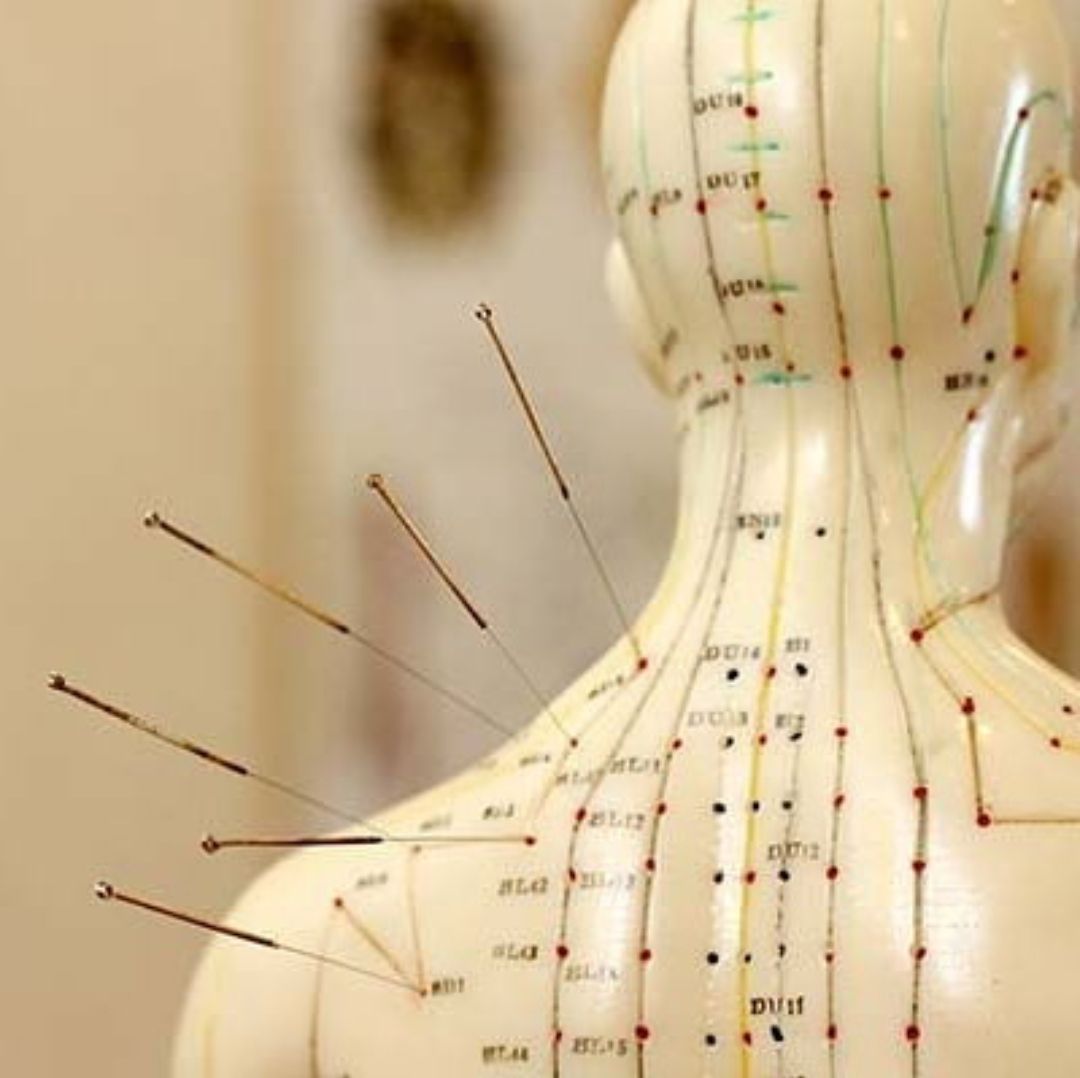 Francesca Intermite-43