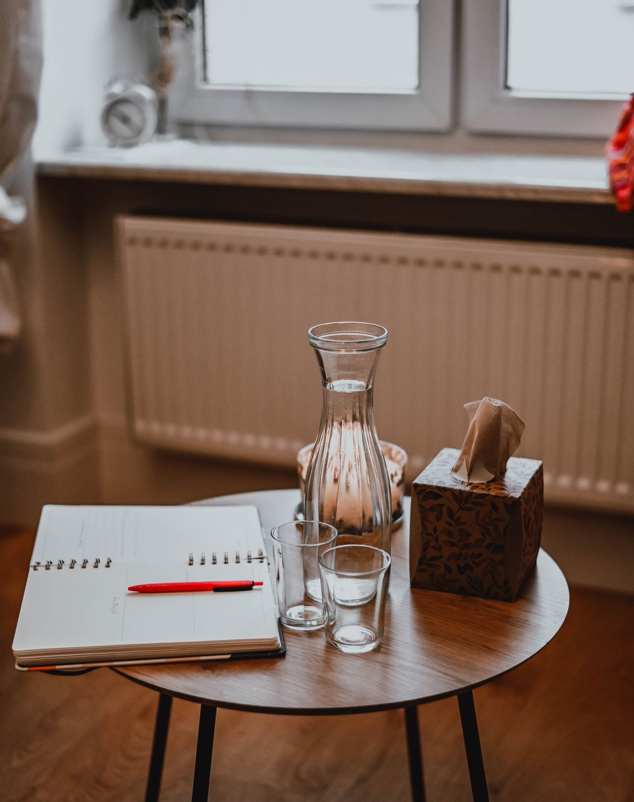 Aleksandra Rychlik-Traczyk-5