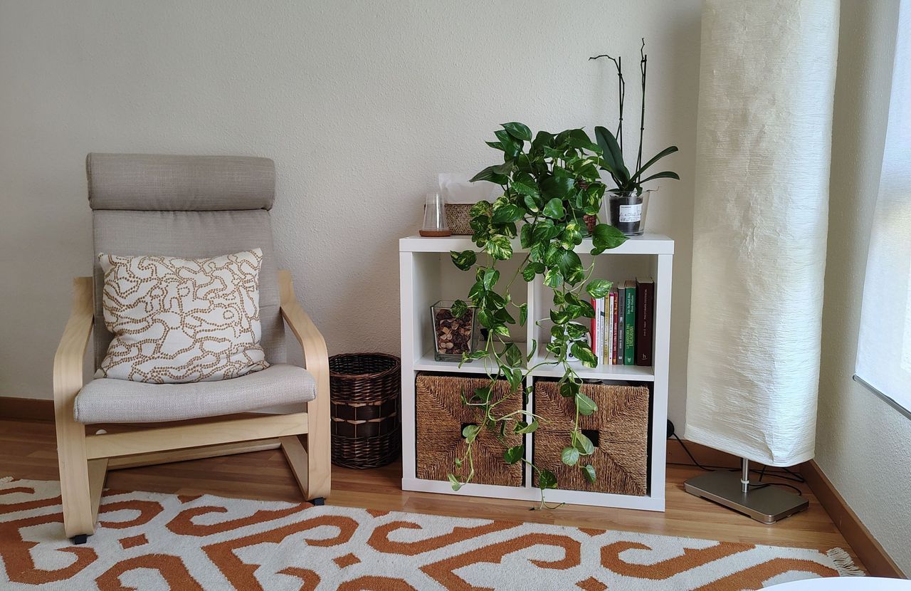 Sebastián Adamovsky-2