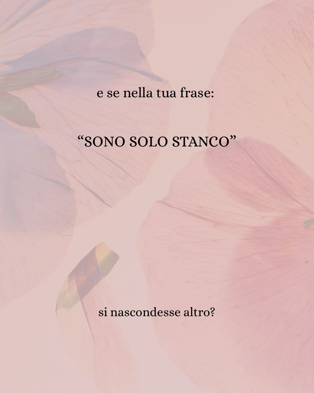 Virginia Vazzoler-20