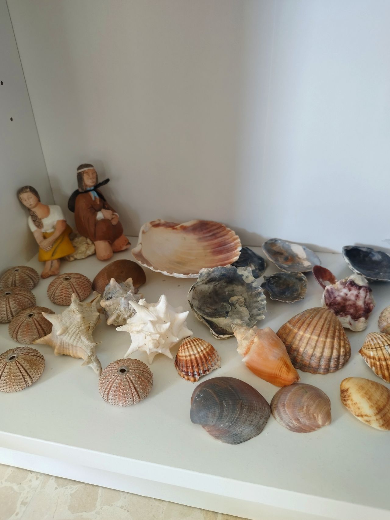 Fco. Javier Rodríguez Del Valle-24