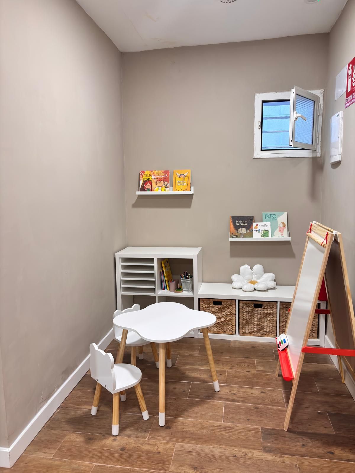 Teira Ardanaz Sánchez-2