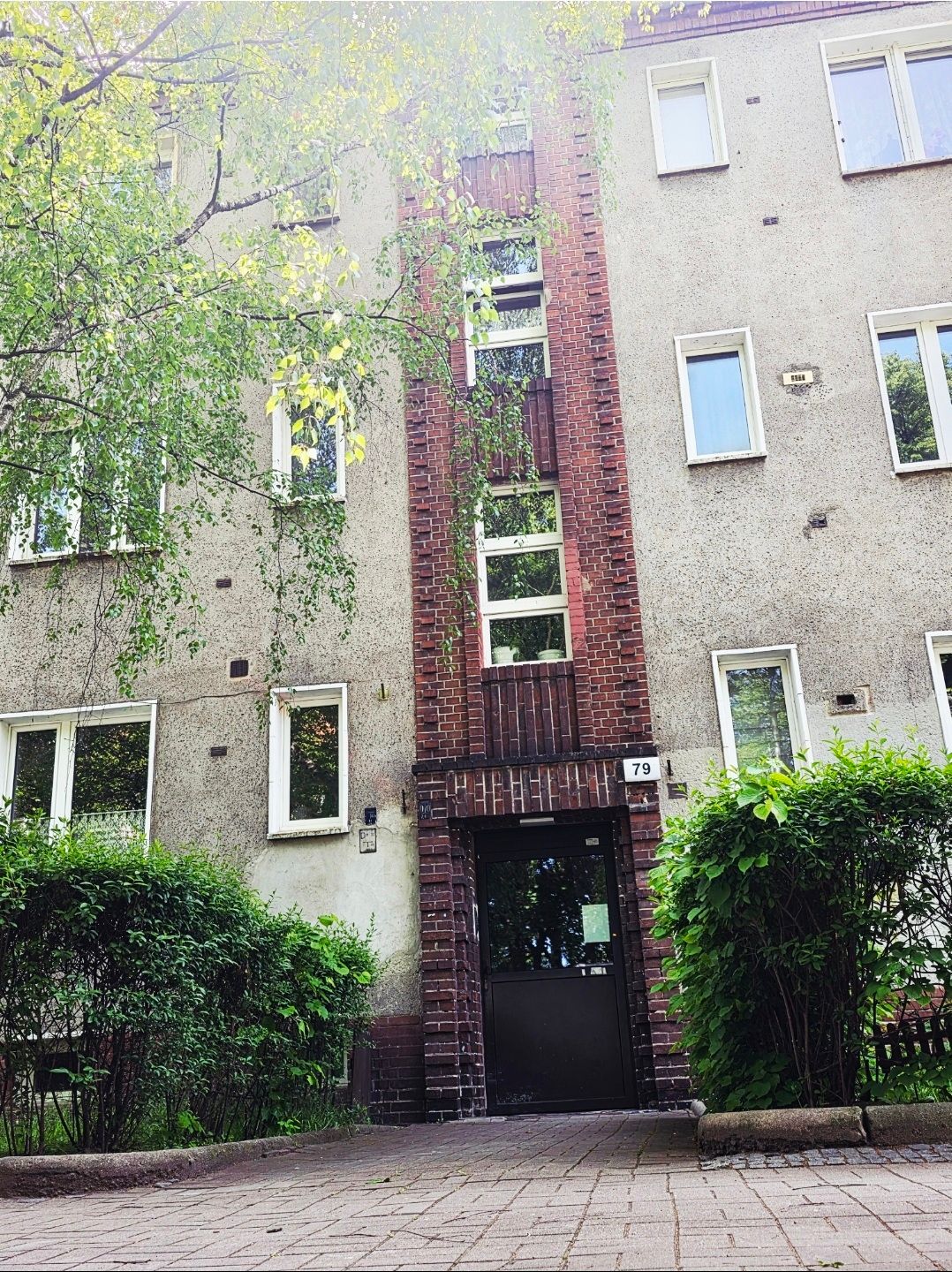 Agnieszka Michalak-13