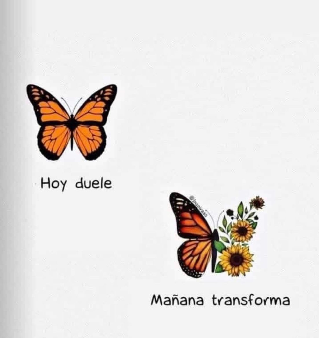 Maria Jose Martinez Corbalan-2