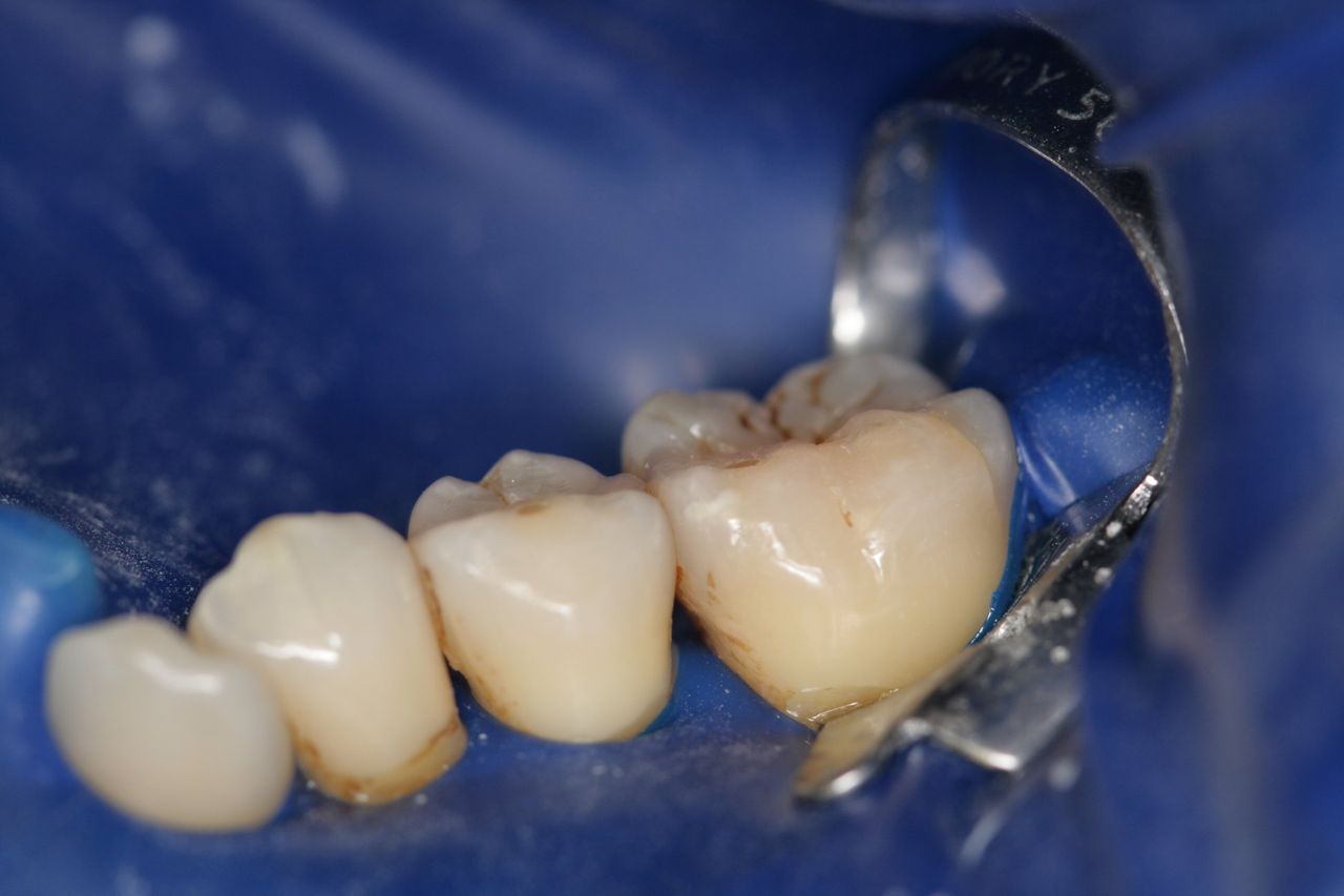 Daniela Beatrice Calef-7