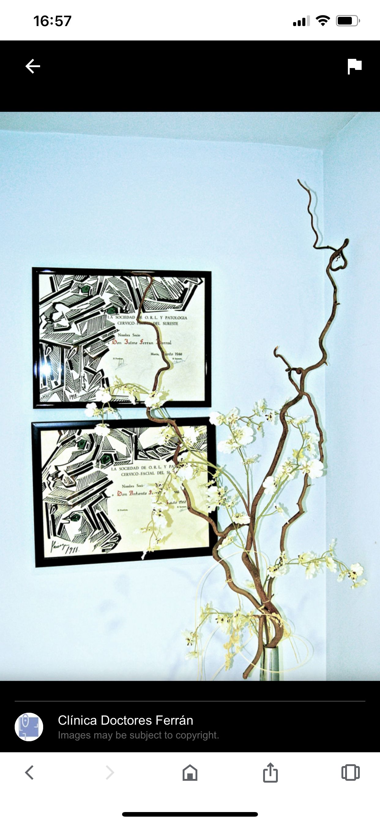 Antonio Ferrán  Bernal-5