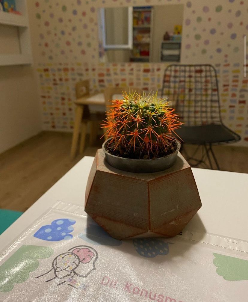 Dilara Gamze Aydın-11