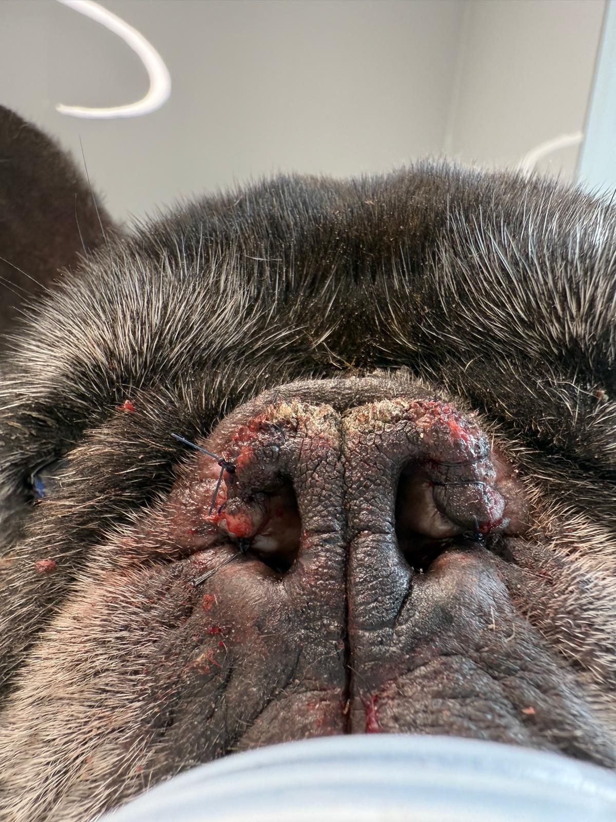 Radosław Fedaczyński-11