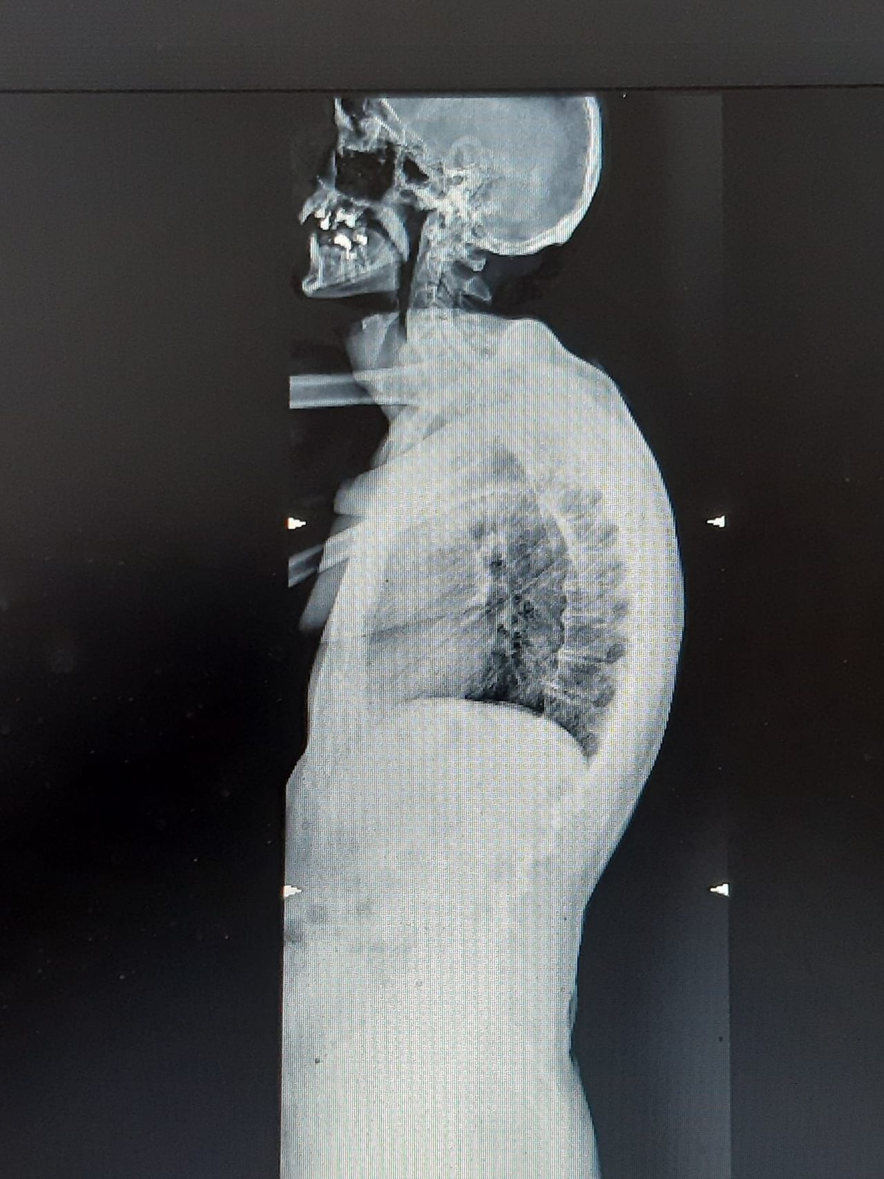 Giuliana Distefano-3