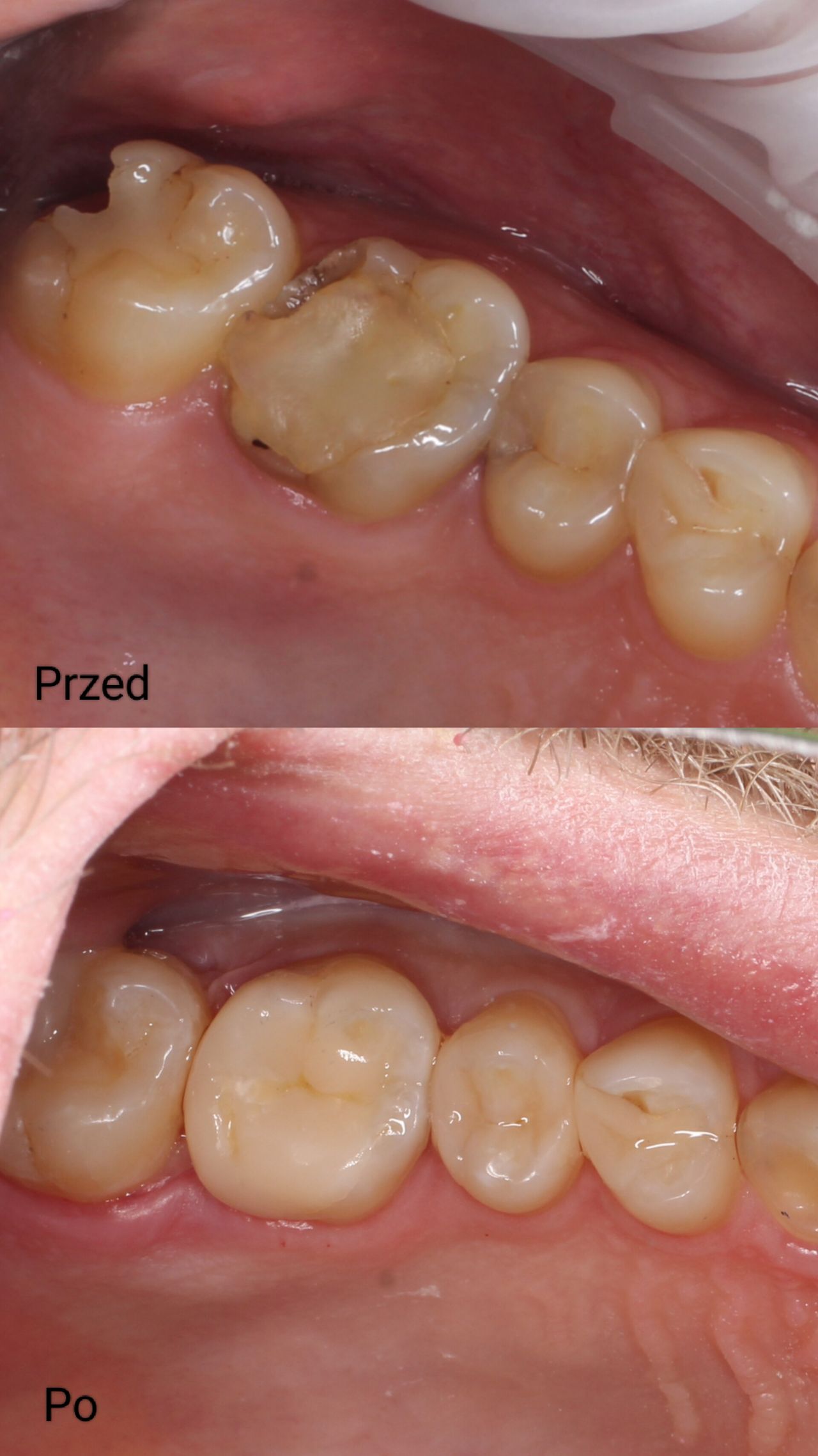 Aleksandra Bobrovskaya-10