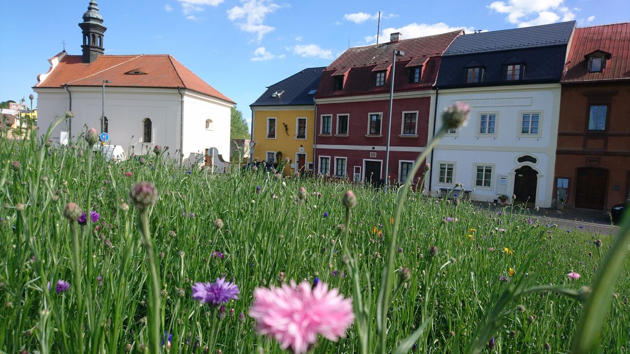 Stanislava Gauchet Kobzová-5