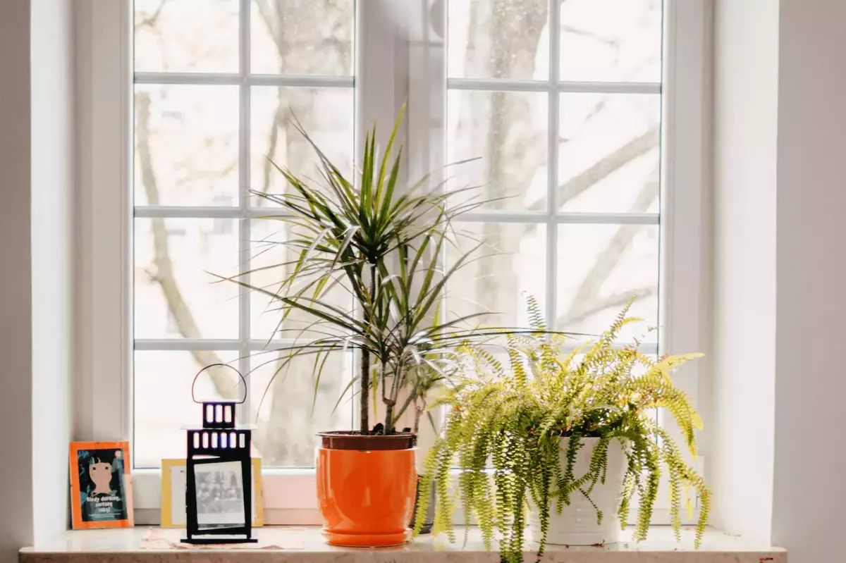 Karolina Lipińska-4