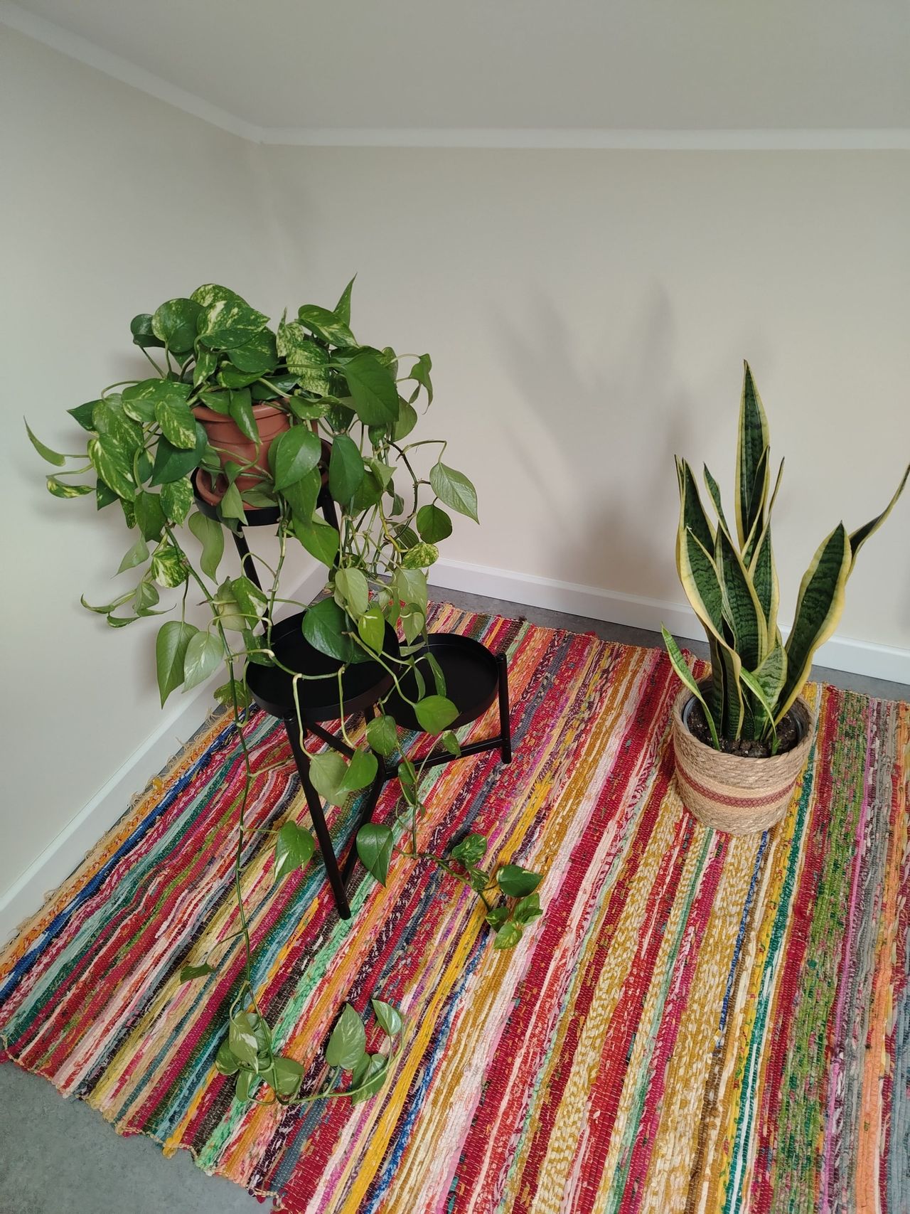 Veronica De Iuliis-4