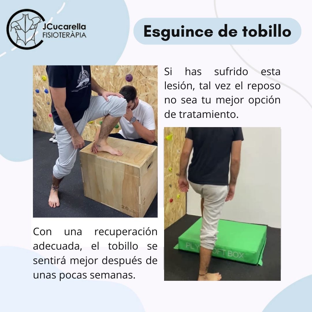 Javier Cucarella Bellvís-3