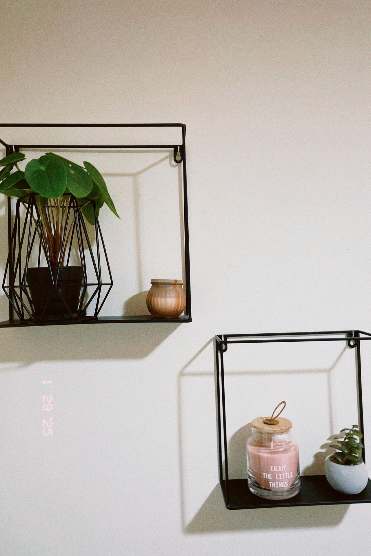 Paloma Jiménez Rojas-2