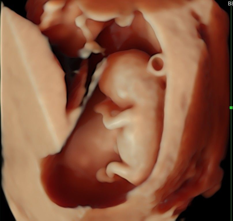 Katarzyna Mikołajczyk-7