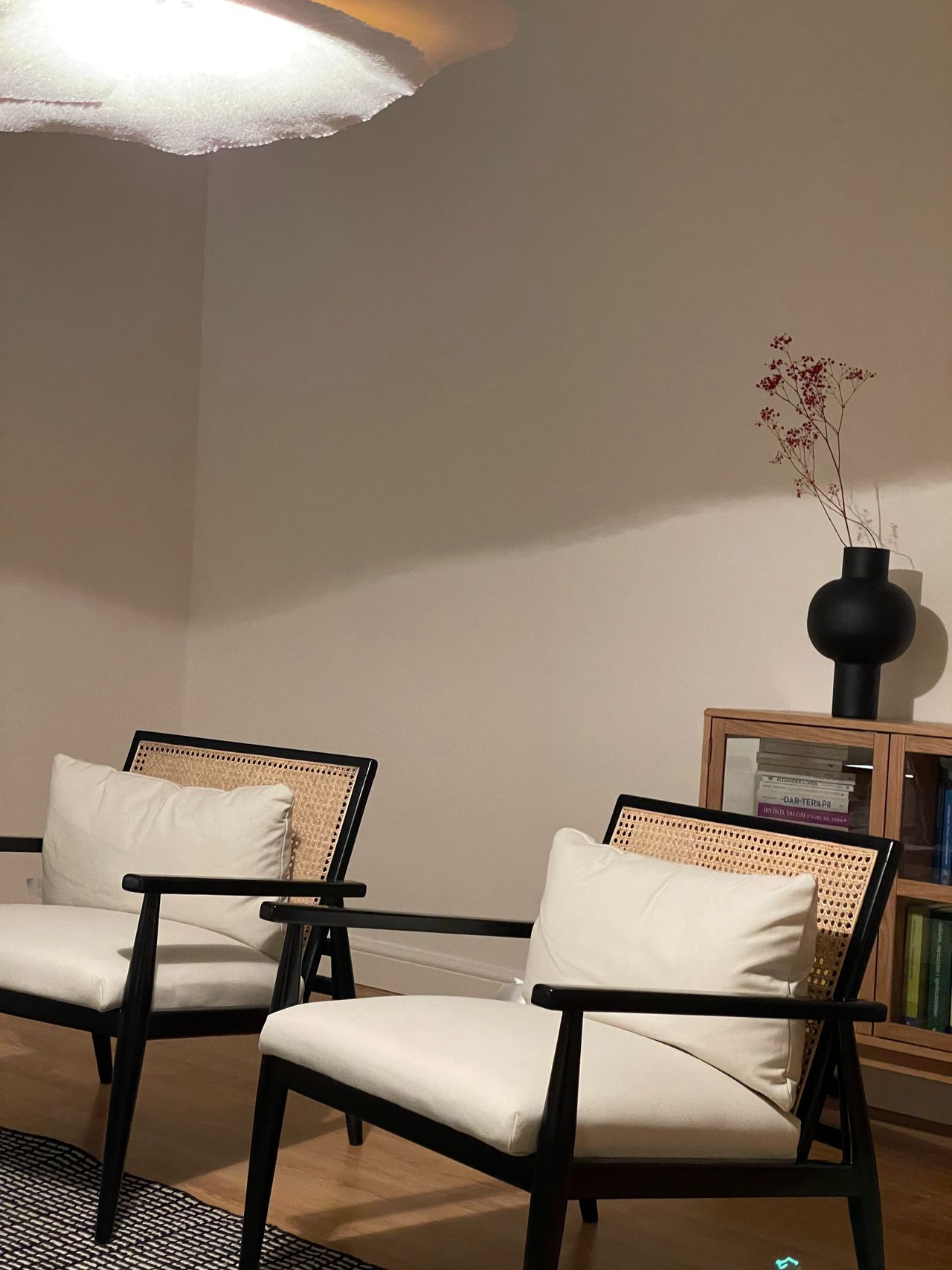 Anna Albertowska-Widerak-0