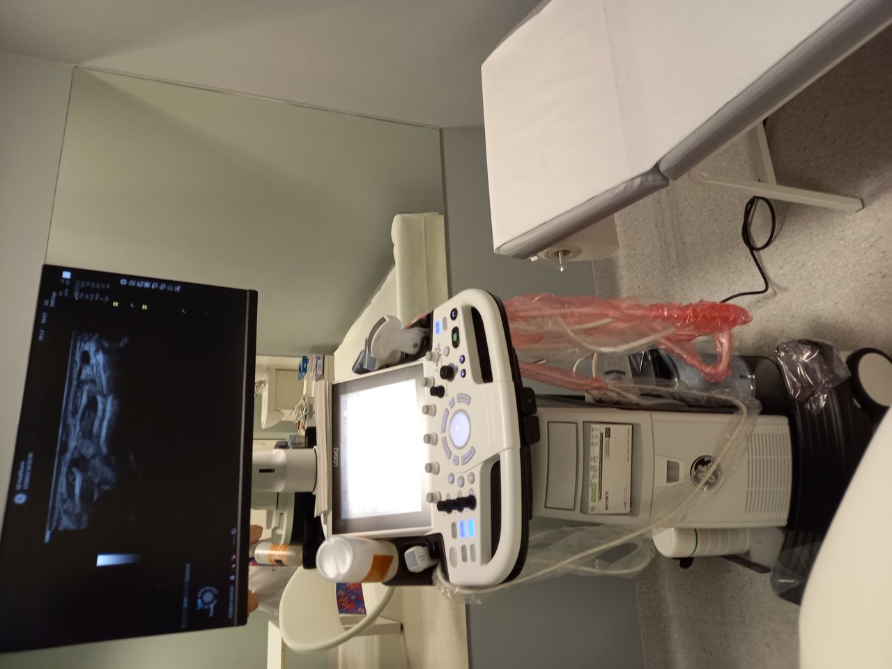 Agnieszka Skórzewska-3