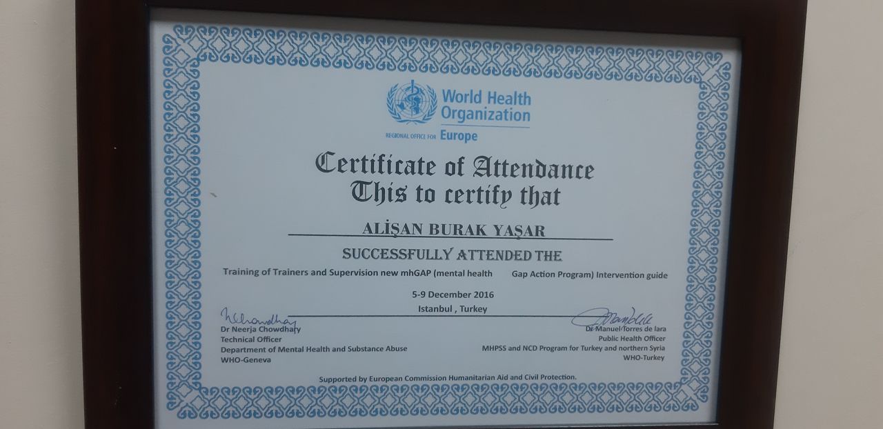 Alişan Burak Yaşar-6