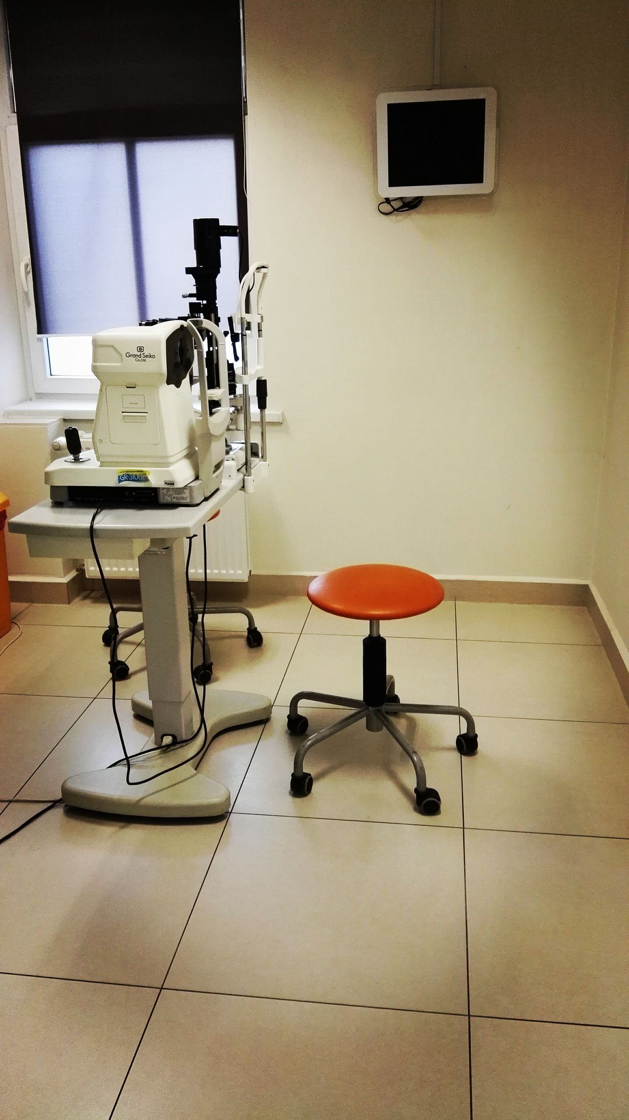 Elżbieta Maciejewska-1