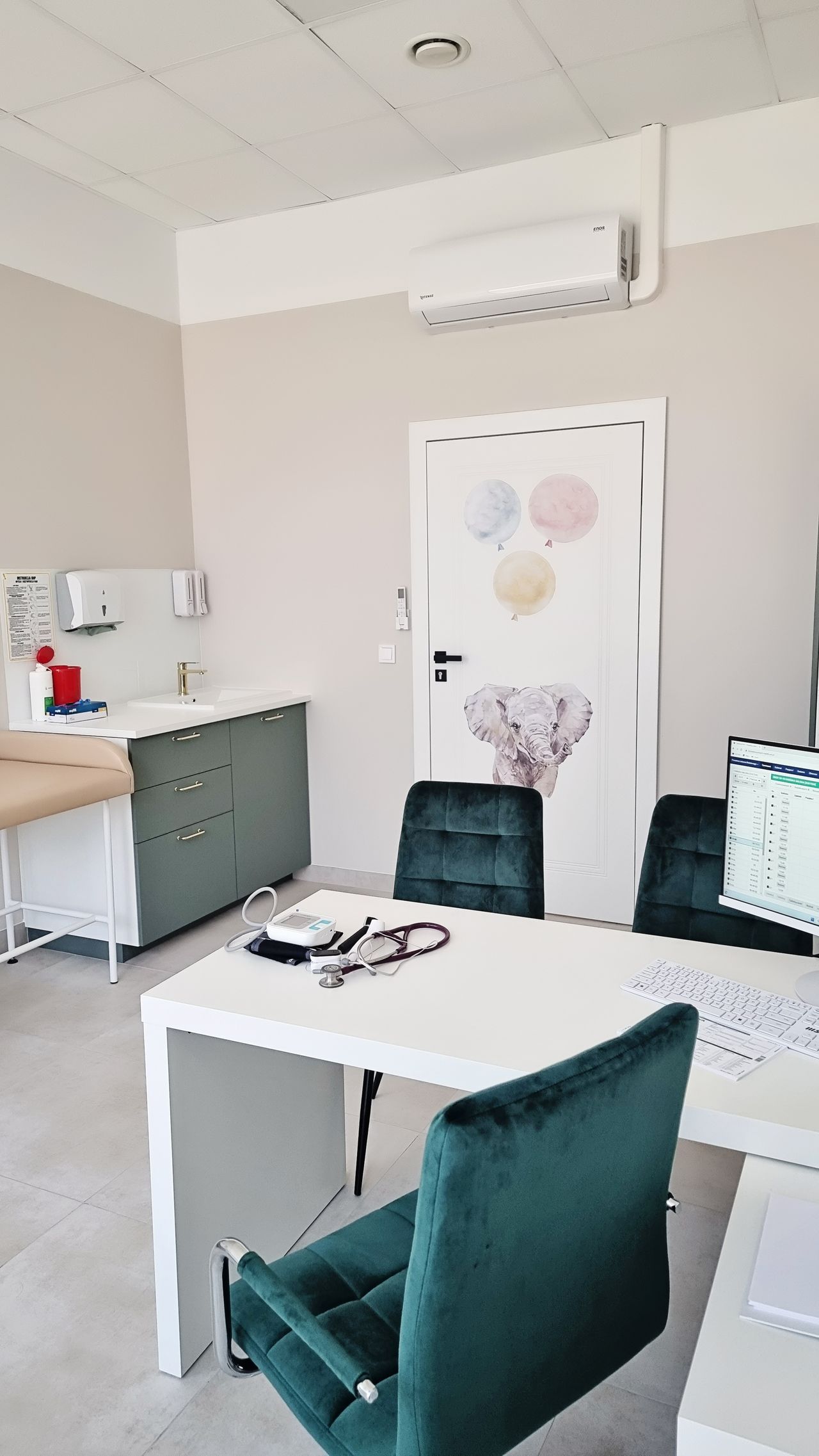 Agnieszka Skarżyńska-2