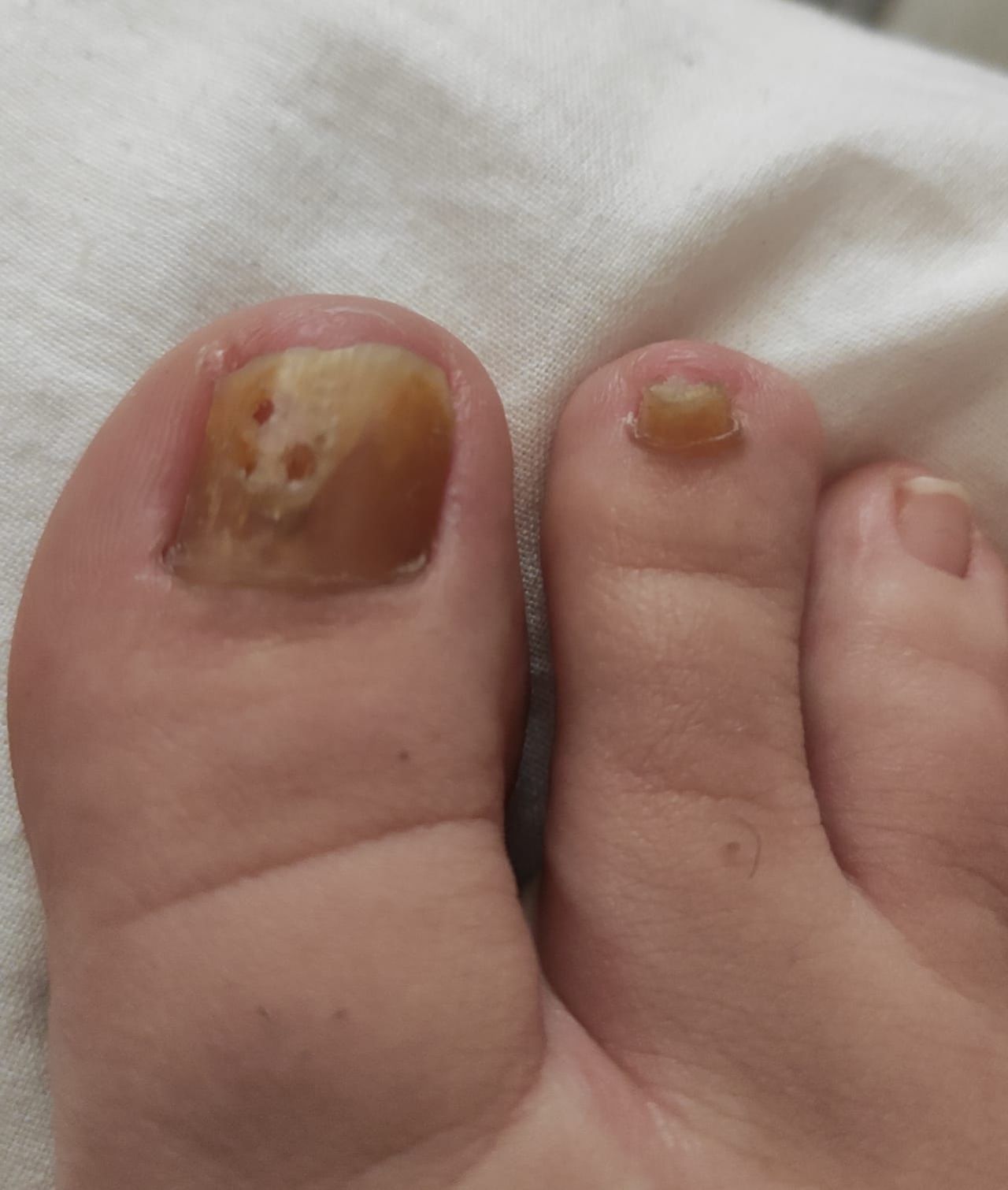 Kassandra Nicolosi-190