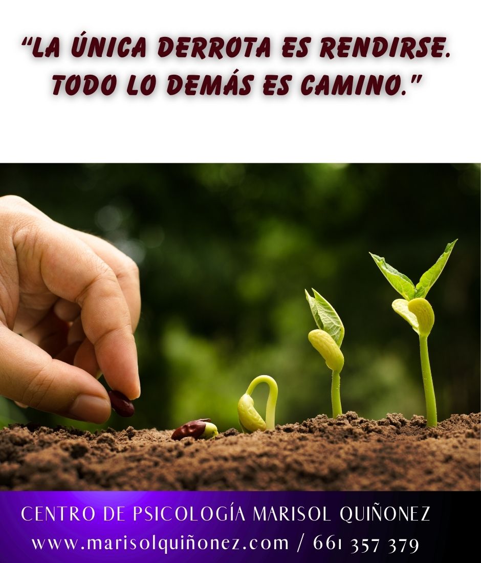 Marisol Quiñonez Quintero-172