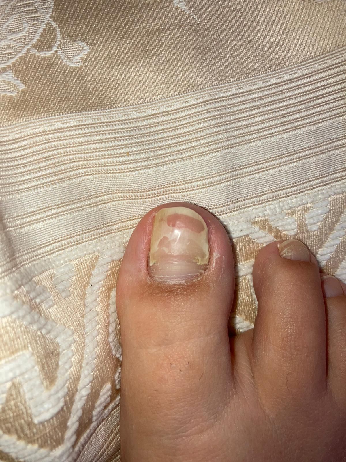 Kassandra Nicolosi-222