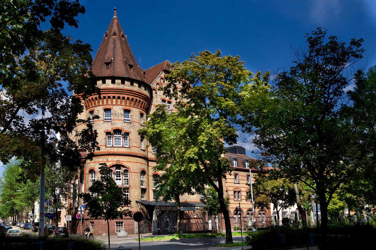 Gaetano Cammilleri Heilpraktiker, Zhong-Yi Bo-Shi (Doktor In Traditioneller Chinesischer Medizin, Klinische Grundlagen Zhejiang Medical University) Osteopathie-5