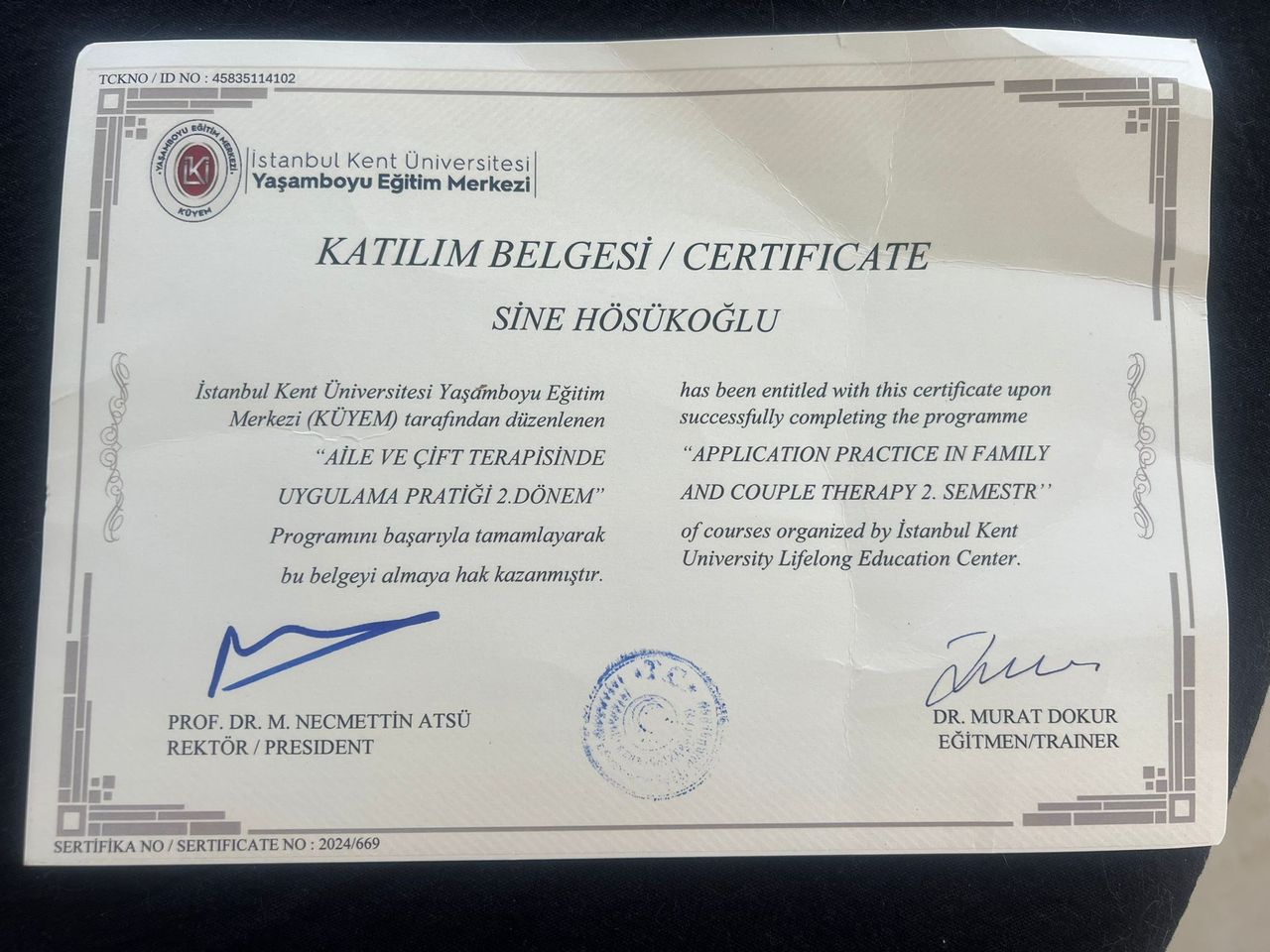 Sine Hösükoğlu-2