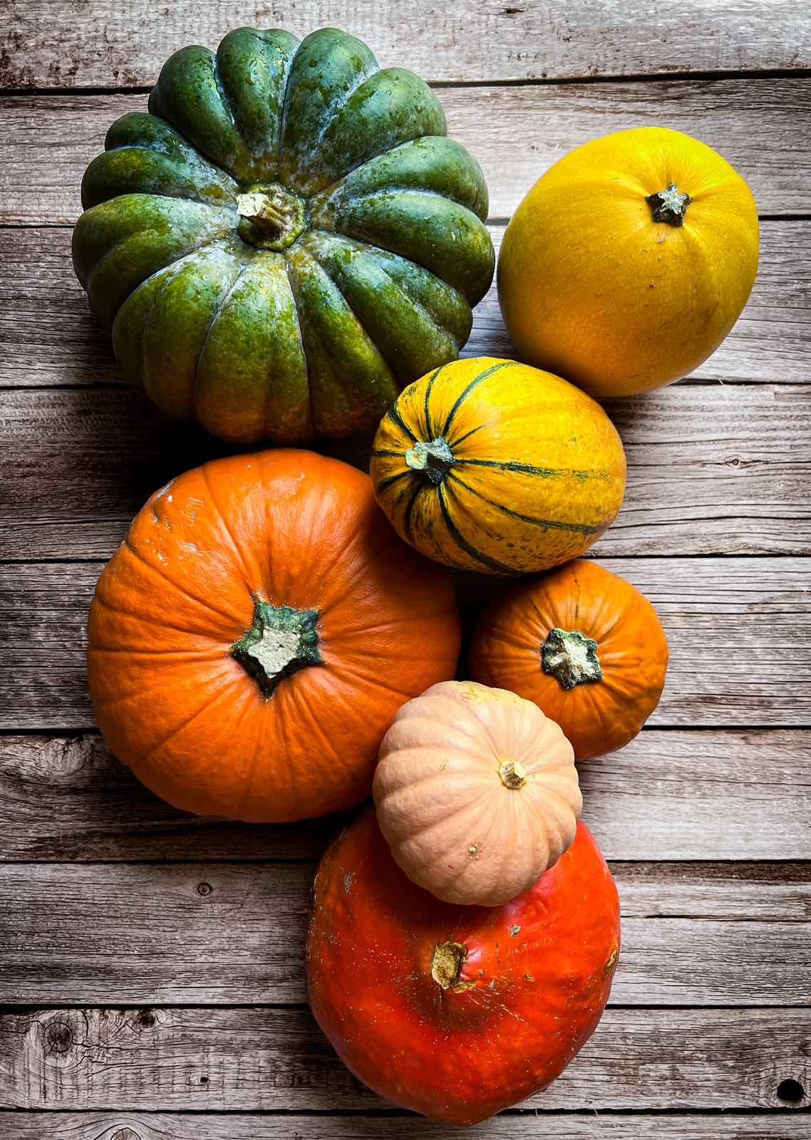 Agnieszka Grabarczyk-9