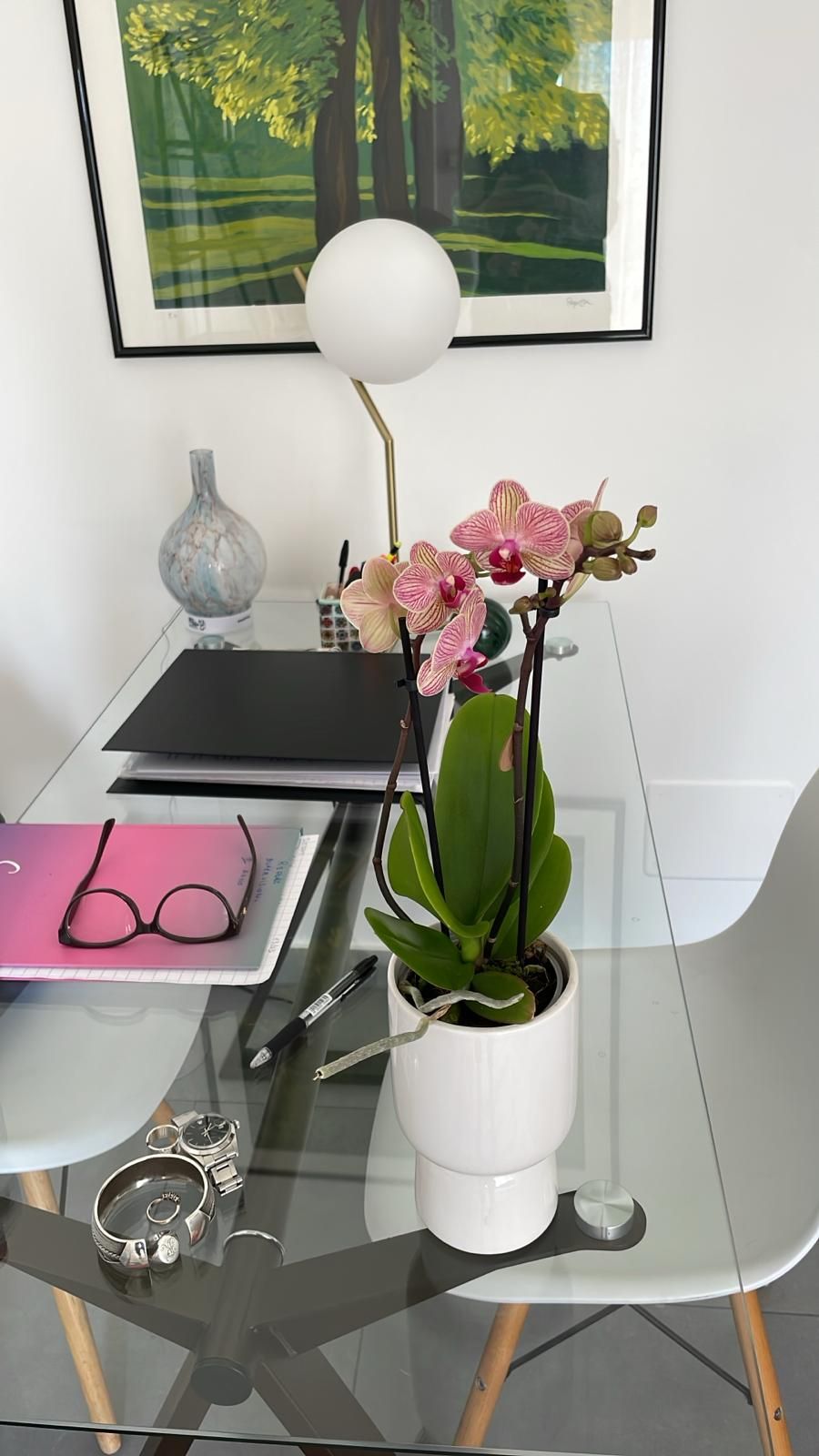 Francesca Rinicella-2