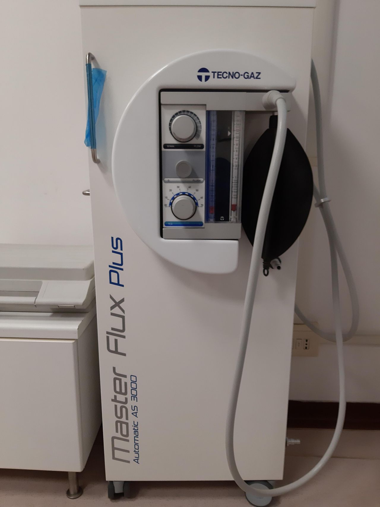 Daniela Beatrice Calef-3