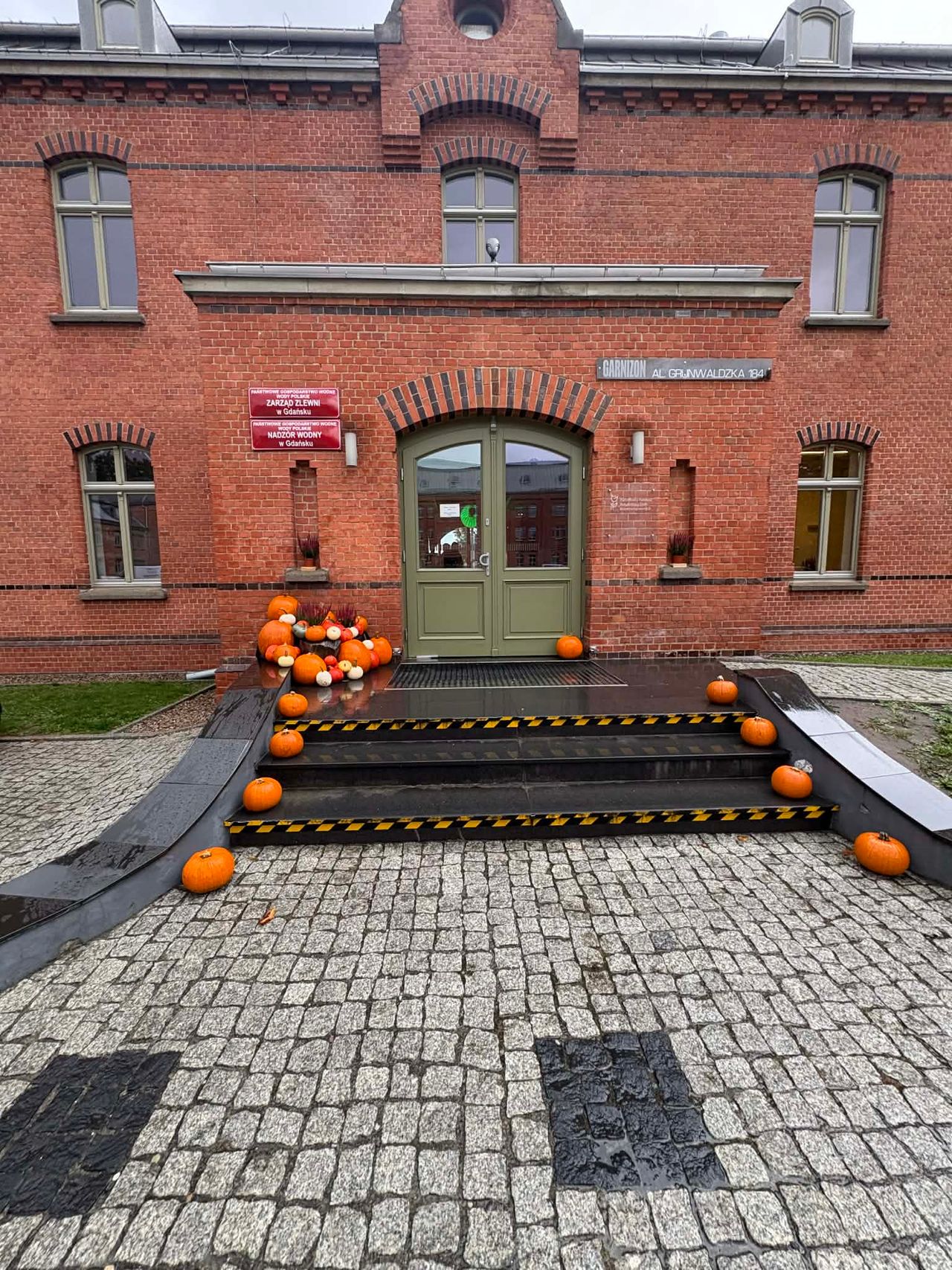 Małgorzata Merecka-5