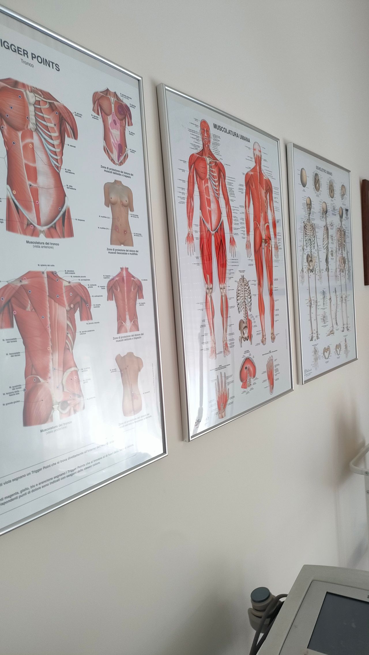 Claudia Canfarelli-4