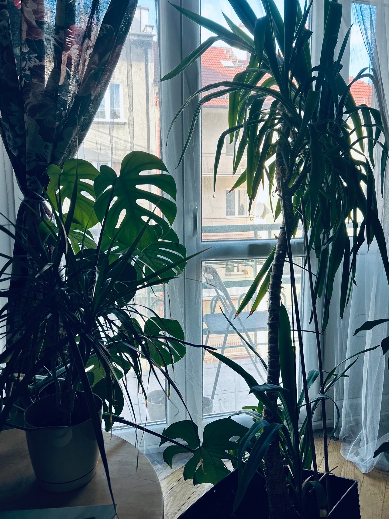 Magdalena Nawisielska-1