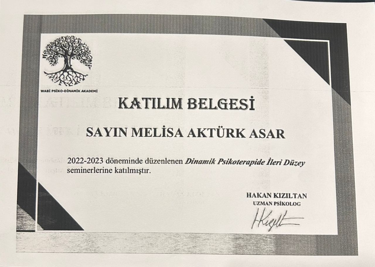 Melisa Aktürk Asar-19