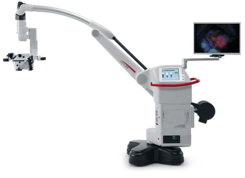 Alessandro Borderi-9